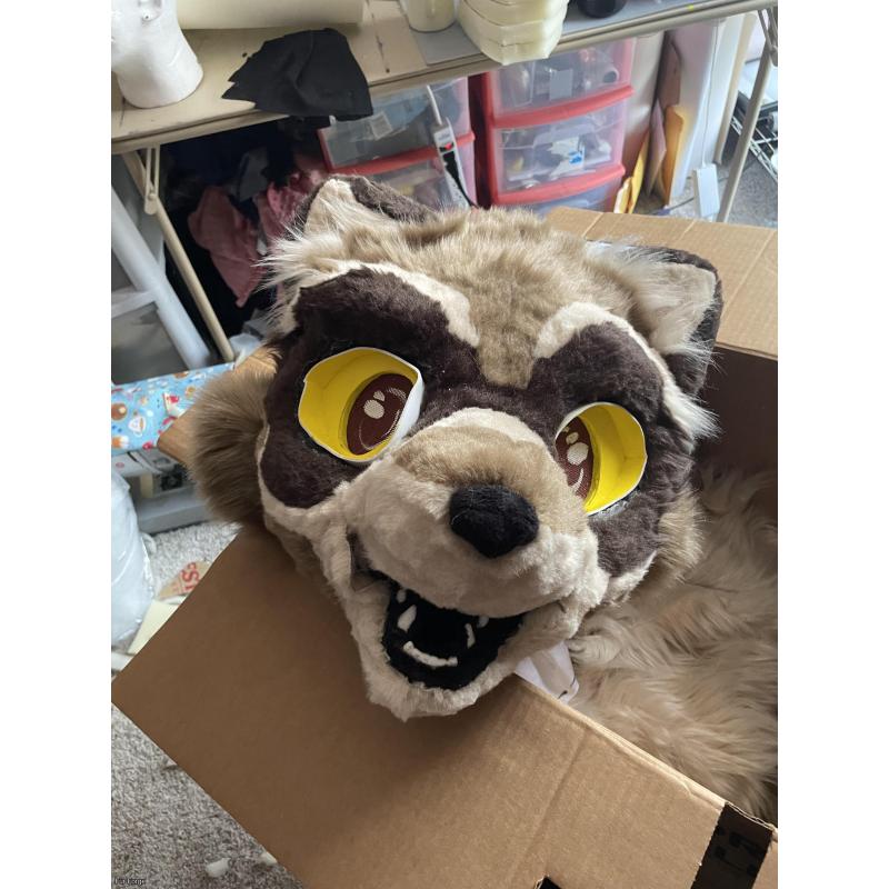 Fursuit Racoon Head As Is