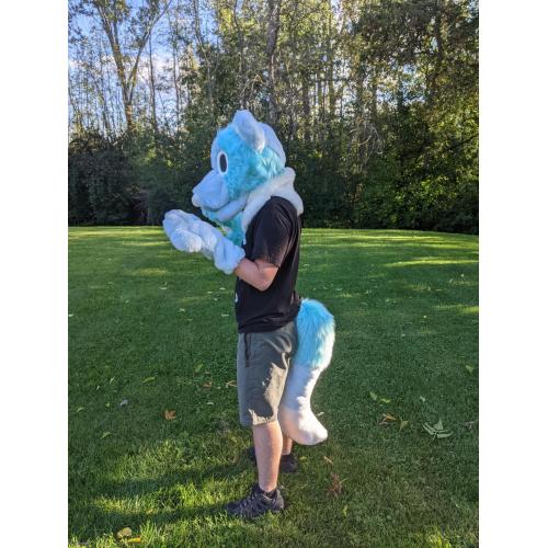 Blue dog fursuit