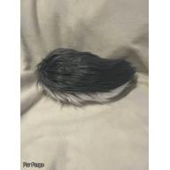 Gray/White Nub Tail