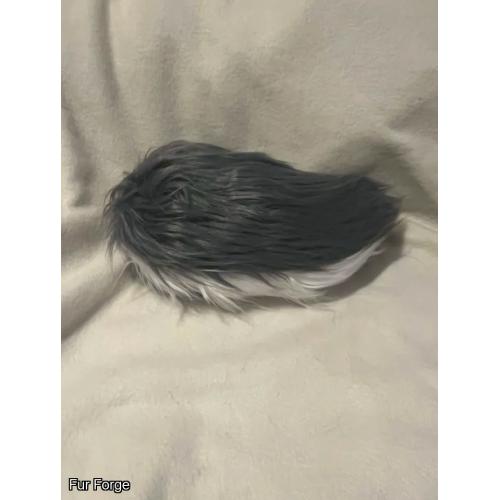 Gray/White Nub Tail