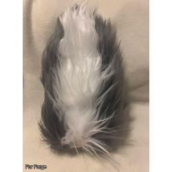 Gray/White Nub Tail