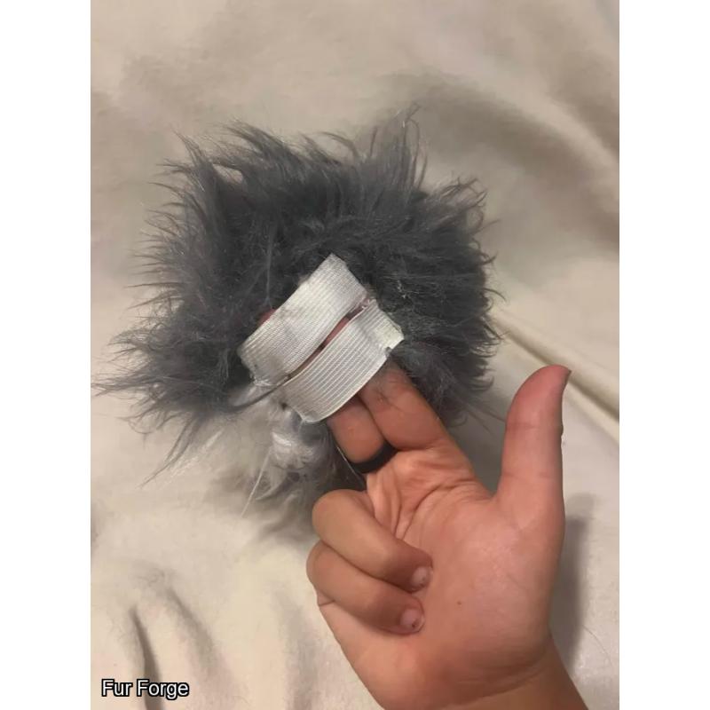 Gray/White Nub Tail