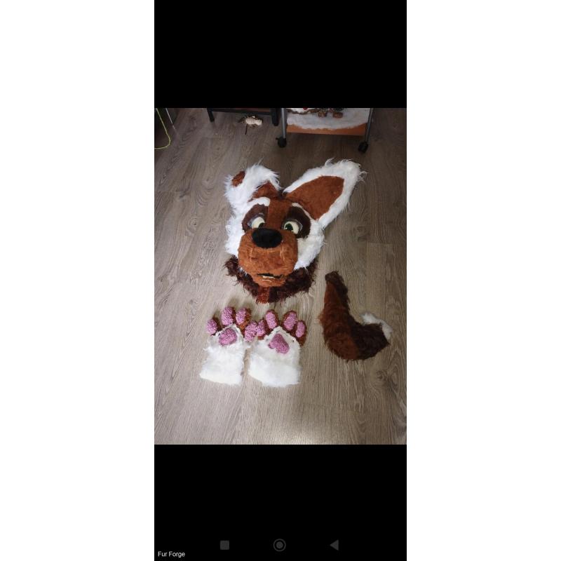 Fursuit