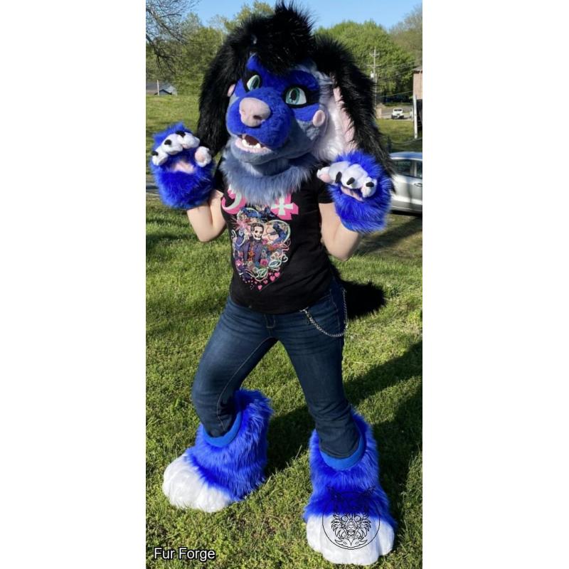 Blue Poodle Partial