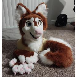 Red (Brown) Husky Dog - Toony Mini Partial Premade Fursuit