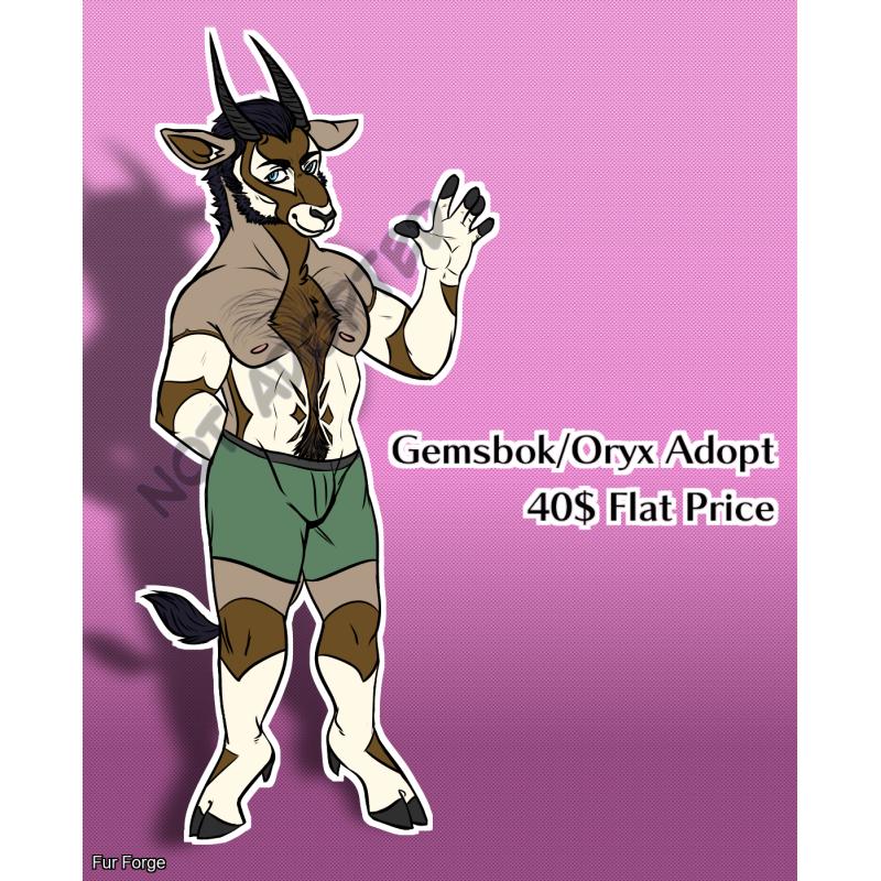 Gemsbok Male Adopt