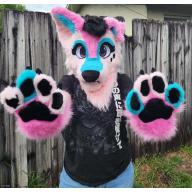 Partial Fursuit