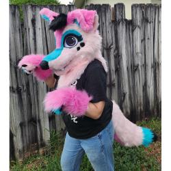 Partial Fursuit