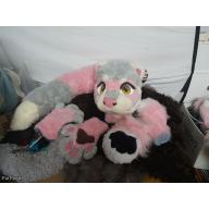 Pink ferret partial