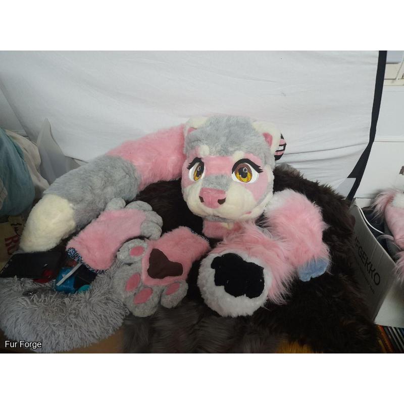 Pink ferret partial