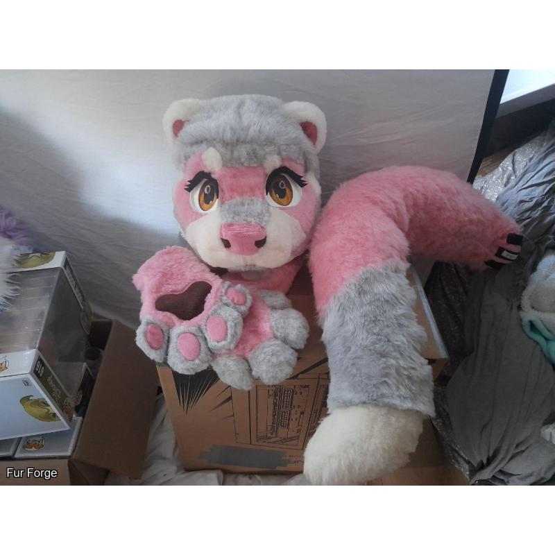 Pink ferret partial