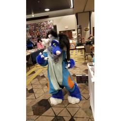 Blue Poodle Partial